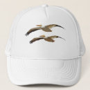 Recherche de pélicans casquettes Animal