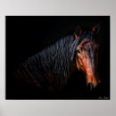 Recherche de portrait de cheval posters Photographie
