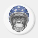 Recherche de casque moto magnets Singe