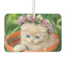 Recherche de animal familier voiture accessoires Animaux familiers