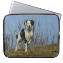 Recherche de augmenté photographie Chien