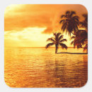 Recherche de palm autocollants Tropical