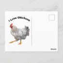 Recherche de poule bébé cartes postales Poulet