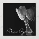 Recherche de tulipes blanches invitations Fleurs
