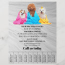 Recherche de toilettage prospectus Promotion