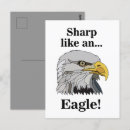 Recherche de flétan cartes postales Aigle chauve