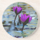 Recherche de nénuphar dessous de verres Pour tous