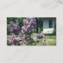 Recherche de lilas bush Rose