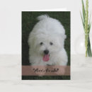 Recherche de de coton anniversaire cartes Blanc