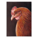 Recherche de poule rouge posters Poulet