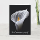 Recherche de calla lilly Noir