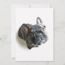 Recherche de purebreed vœux cartes Cute
