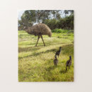 Recherche de poussins puzzles Faune