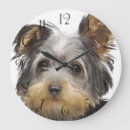 Recherche de yorkshire horloges Terrier