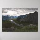 Recherche de toundra posters Arctique