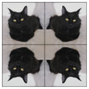 Recherche de divan Animaux familiers