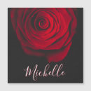 Recherche de rose rouge photographie Floral