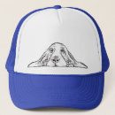 Recherche de basset casquettes Chiot