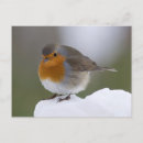 Recherche de european cartes postales Nature