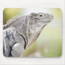 Recherche de iguane tapis souris Animal