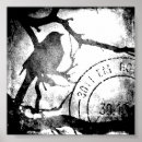 Recherche de arbres en noir et blanc posters Faune
