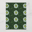 Recherche de rudbeckias cartes postales Nature