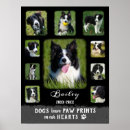 Recherche de chien gris posters Dogs