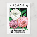 Recherche de camelias cartes postales Jardinage