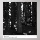 Recherche de uc berkeley posters Fiat lux