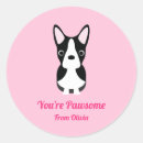 Recherche de boston terrier valentine Dog