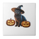 Recherche de magie carreaux Chat