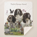 Recherche de épagneul springer anglais maison deco Chien de chasse