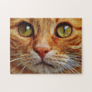 Recherche de orange cat puzzles Kitty