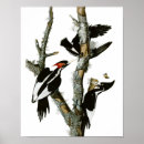 Recherche de observé art Peinture