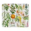 Recherche de illustration botanique planches à découper Fleur