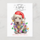 Recherche de baiser de noël cartes postales Toute personne