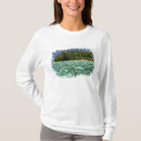 Recherche de polynésie tshirts Tropical