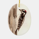 Recherche de pivert ornements Nature