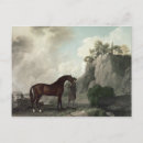 Recherche de george stubbs cartes postales Course