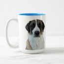 Recherche de anatolien tasses Chien berger anatolien