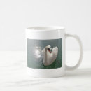 Recherche de beau cygne tasses Pour tous