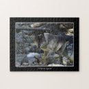Recherche de chiens loup puzzles Chien sauvage