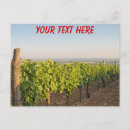 Recherche de vignobles cartes postales Campagne