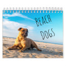 Recherche de rivage de plage bureau fournitures Océan