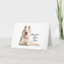 Recherche de berger blanc vœux cartes Beau
