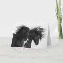 Recherche de étalon sauvage vœux cartes Mustang