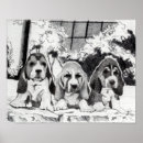 Recherche de chien basset posters Illustration