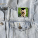 Recherche de chien badges Photo de chien