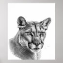 Recherche de puma posters Animal