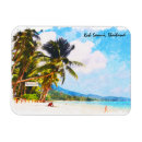 Recherche de samui magnets Tropical